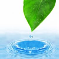leaf-water-droplet